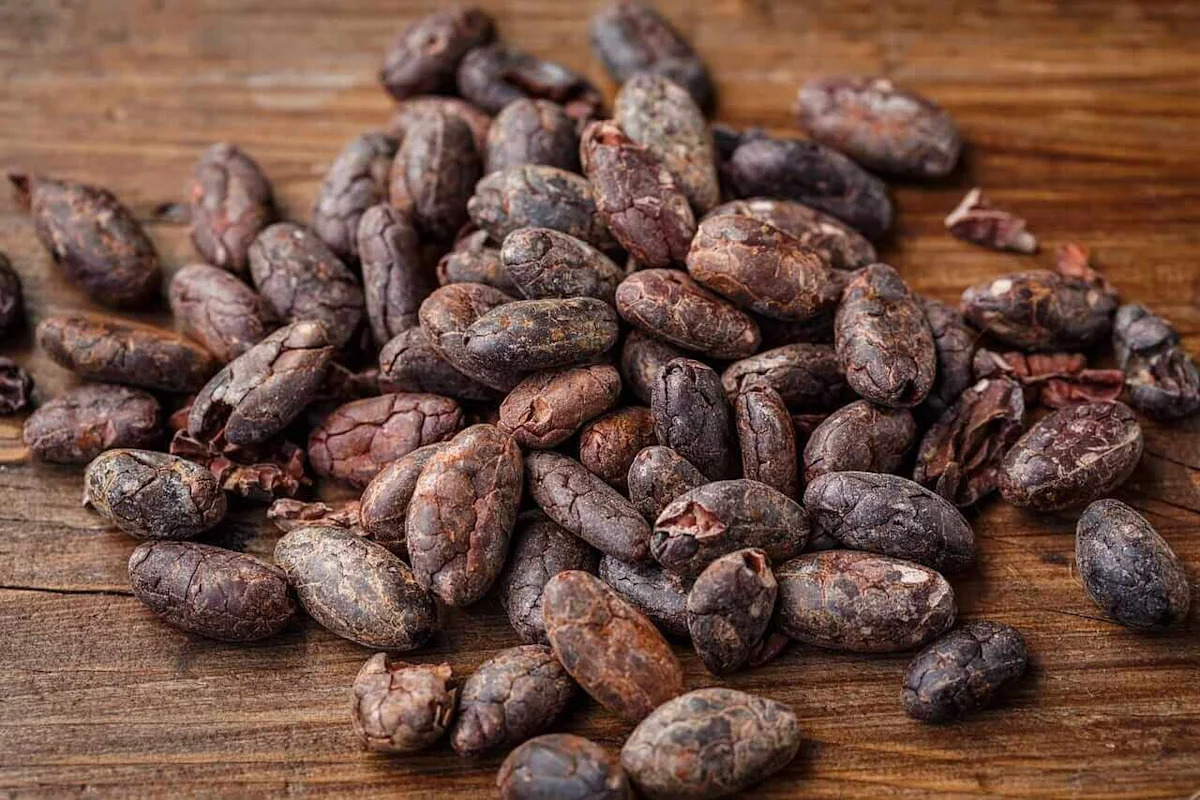 Cocoa Prices Fall on Larger Supplies from the Ivory Coast