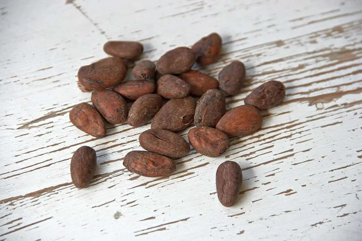 Cocoa Prices Sharply Higher on Tepid Rains in the Ivory Coast